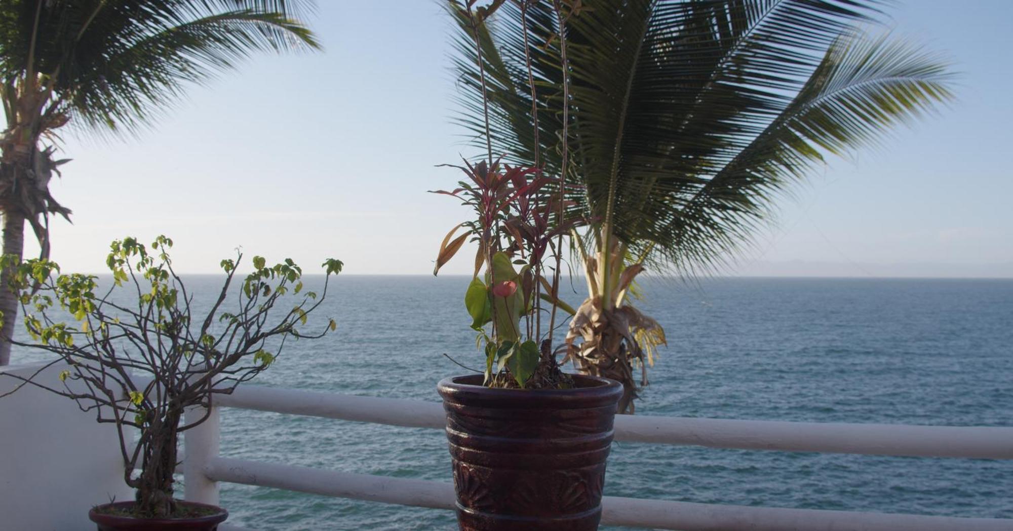 Traditional Sierra Leon Oceanfront Rooms - Adults Only Puerto Vallarta Exteriér fotografie